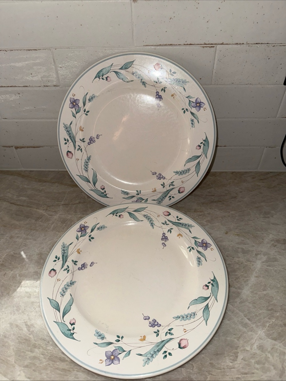 Pfaltzgraff Retired April Dinner Plates Set of 2